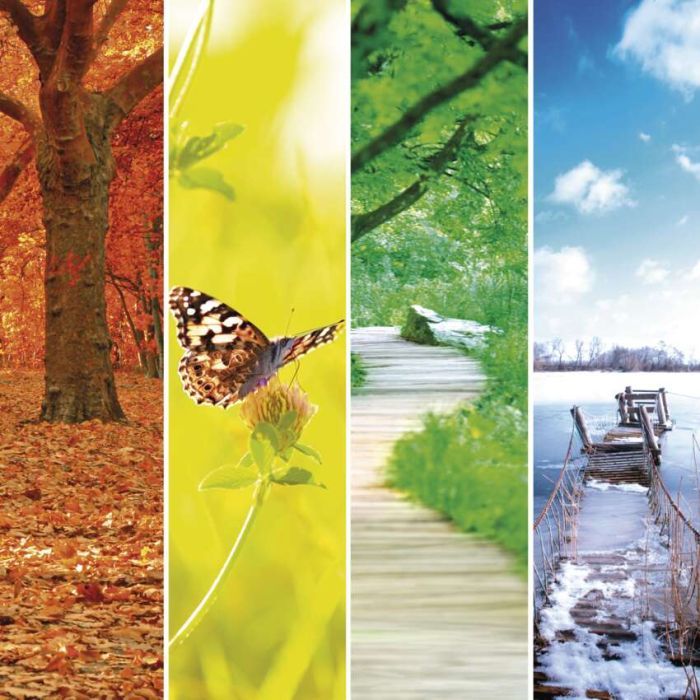 Датчик температуры EMOS E0042 изображение 11