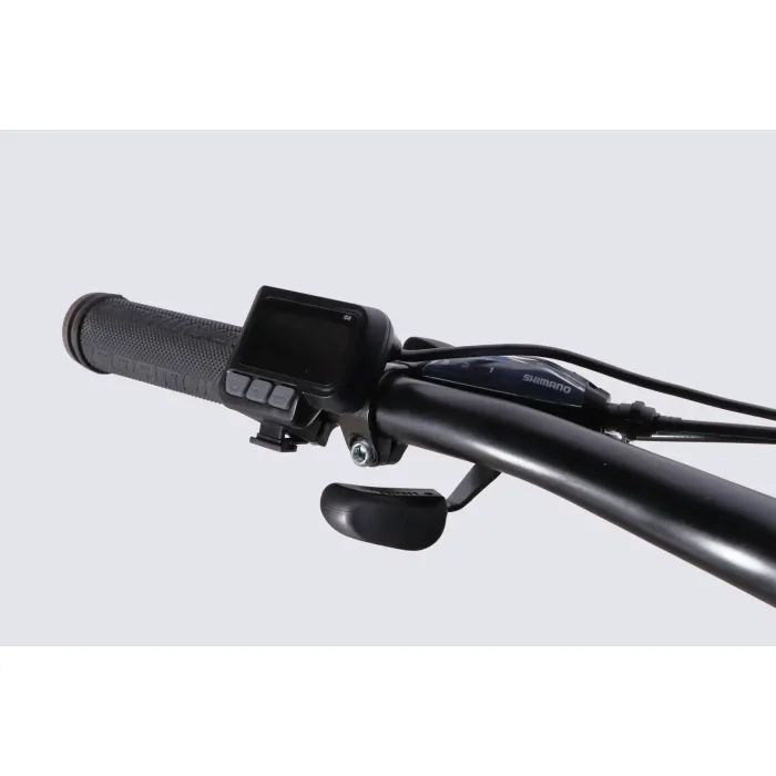 Електровелосипед Formula 29" eMOTION PLUS DD FR рама-19" 48B 15А*г 500Вт 2026 сіро-сріблястий (ELB-FR-29-261) зображення 7