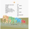 Книга Про що думає слон? - Наталія Чуб Ранок (9786170940285) изображение 6