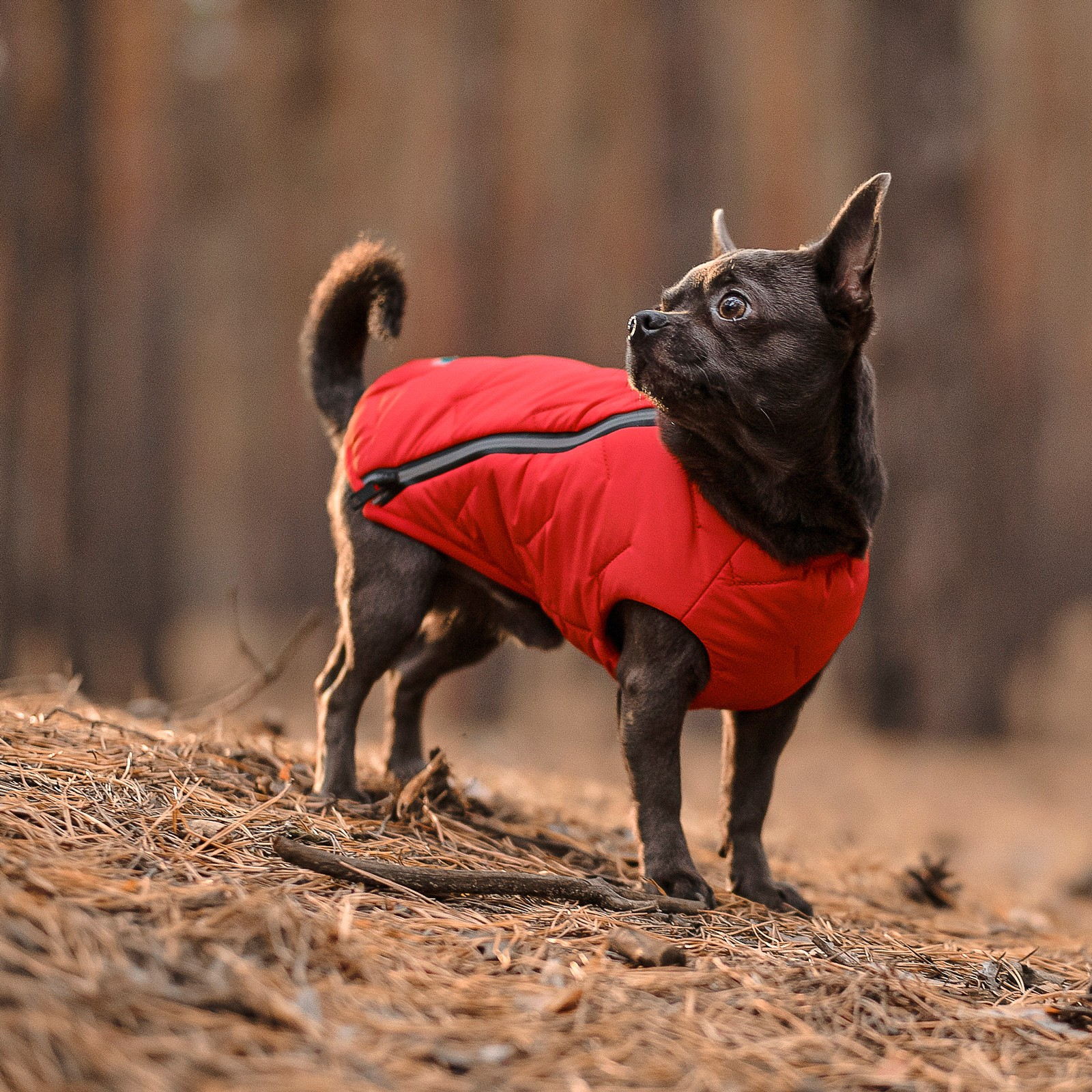 Жилет для животных Pet Fashion "E.Vest" M2 красный (4823082424481) изображение 3