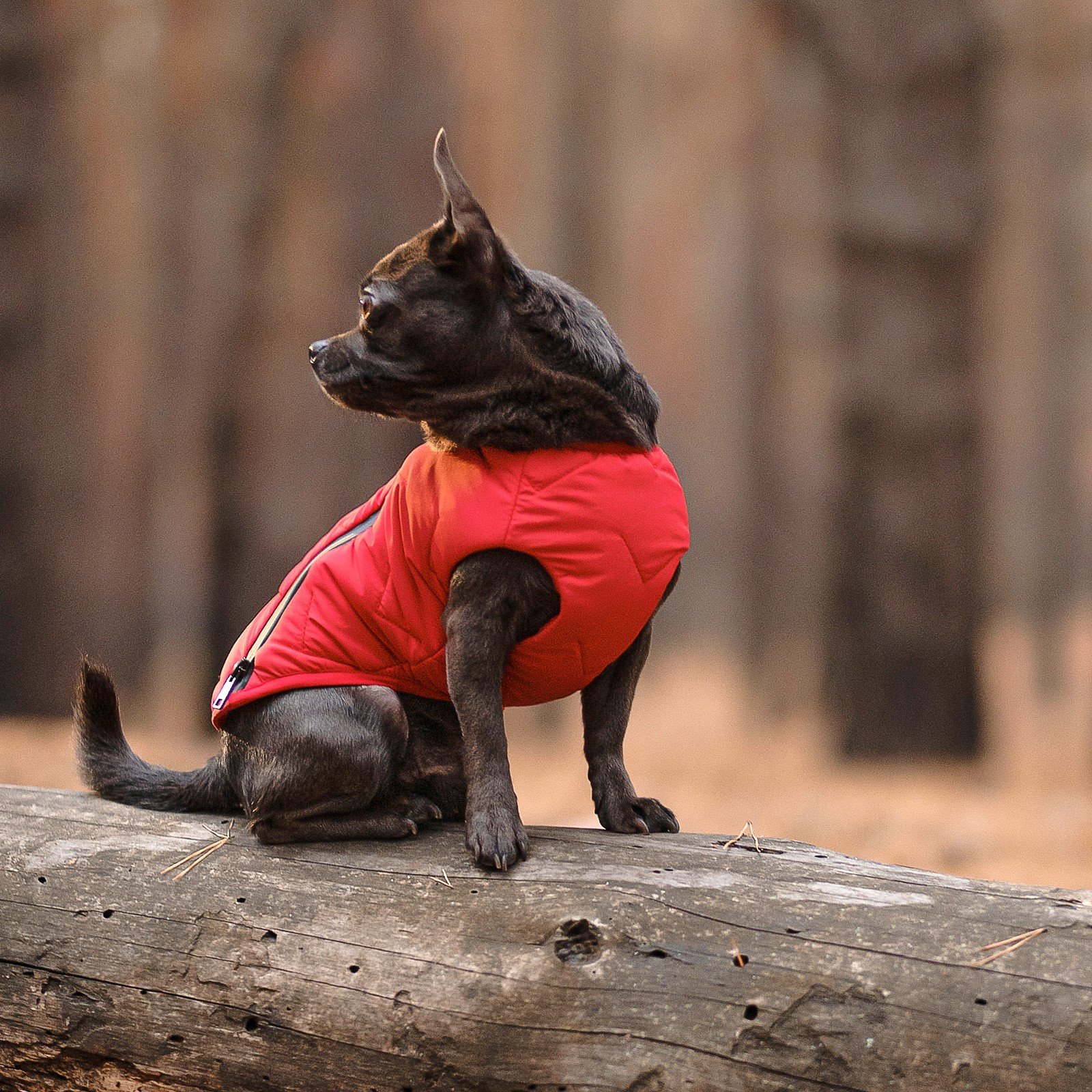 Жилет для животных Pet Fashion "E.Vest" M2 красный (4823082424481) изображение 5