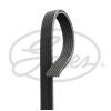 Поликлиновый ремень Gates 6DPK1825