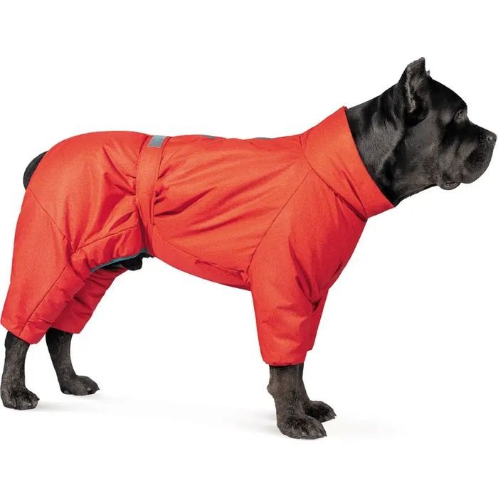 Комбинезон для животных Pet Fashion «Cold» для такс М (красный) (4823082426164) изображение 3