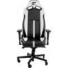 Кресло игровое GT Racer X-8009 Black/White изображение 2
