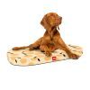 Матрац для тварин WAUDOG Relax Апельсини 55x40 см (097-0105) зображення 3
