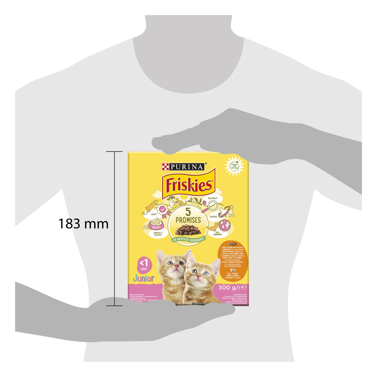 Сухой корм для кошек Purina Friskies Junior с курицей, молоком и овощами 300 г (7613031868360) изображение 3