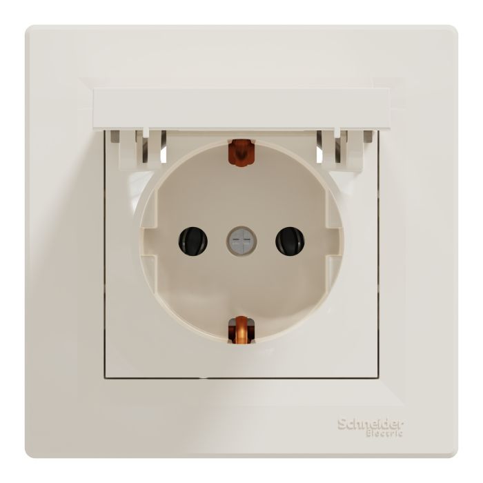 Розетка Schneider Electric ASFORA з кришкою, сталь (EPH3100162)