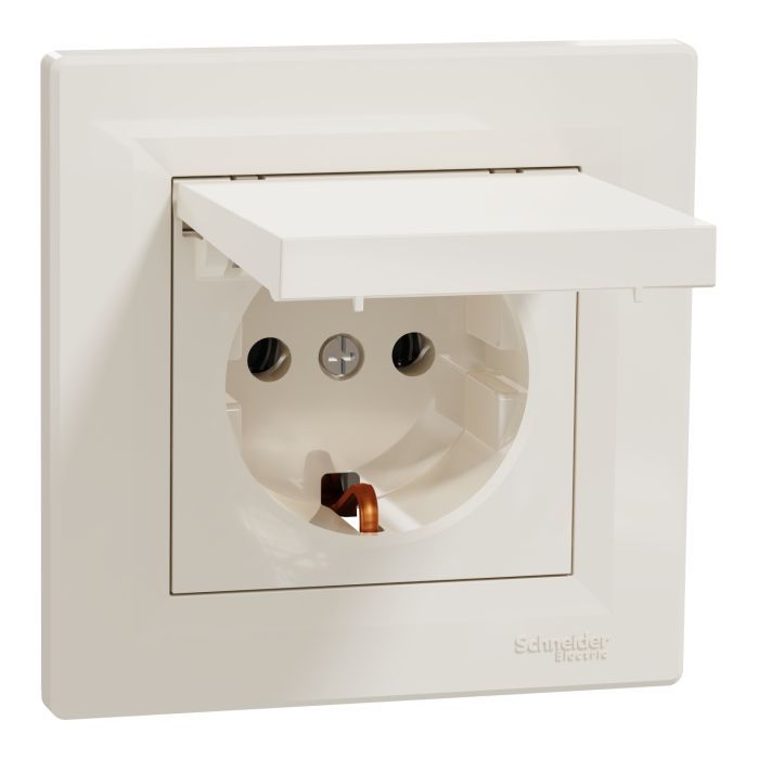 Розетка Schneider Electric ASFORA з кришкою, сталь (EPH3100162) изображение 2