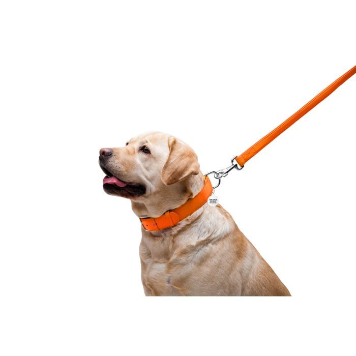 Повідець для собак WAUDOG Glamour шкіряний M-XXL червоний (33763) зображення 5
