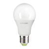 Лампочка Eurolamp LED ECO A60 12W E27 4000K 12-48V (LED-A60-12274(12-48V))
