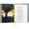 Книга Скіфська одіссея - Ліна Костенко А-ба-ба-га-ла-ма-га (9786175852972) зображення 6