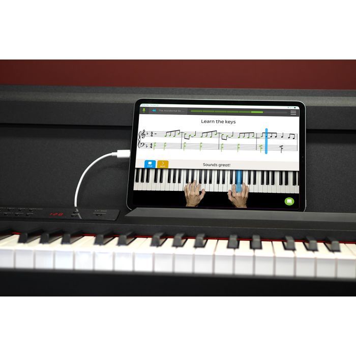 Цифровое пианино Korg LP-380-WH U (230656) изображение 6
