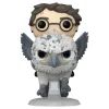 Фигурка Funko Pop серии Гарри Поттер – Гарри Поттер и Клюв (76008)