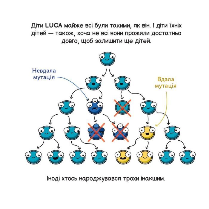 Книга Еволюція ("Майбутні генїі") - Карлос Пасос Наш Формат (9786178115142) изображение 9