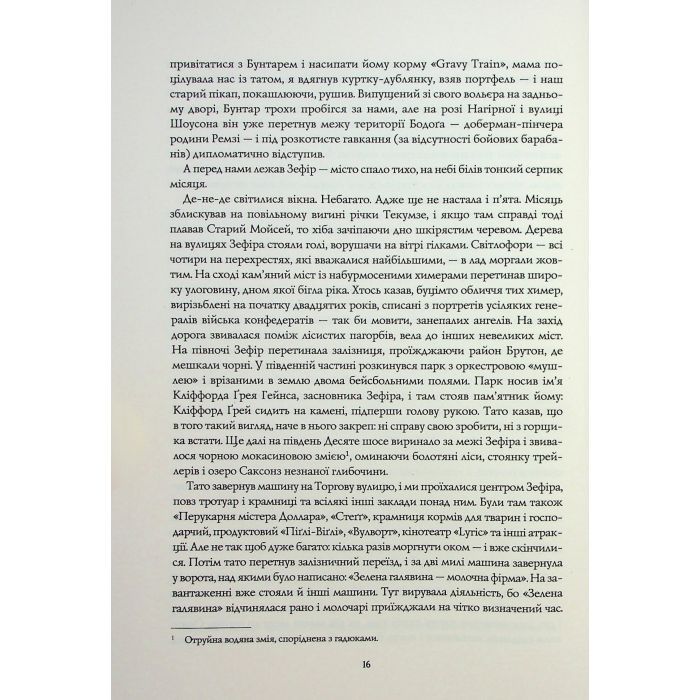 Книга Життя хлопця - Роберт Маккеммон Жорж (9786178287429) зображення 10