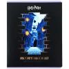 Зошит Kite Harry Potter, 48 аркушів, клітинка (HP26-259) зображення 10