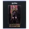 Зошит Kite Harry Potter, 48 аркушів, клітинка (HP26-259) зображення 8