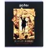 Зошит Kite Harry Potter, 48 аркушів, клітинка (HP26-259) зображення 9
