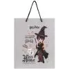 Подарунковий пакет Kite Harry Potter 26 х 32 см (HP26-266) зображення 2