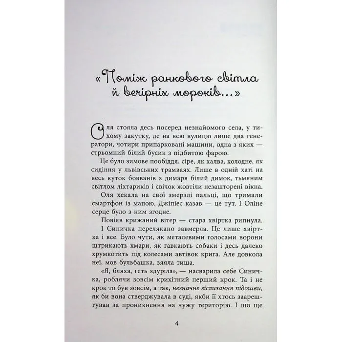 Книга Хрущі над вишнями - Я. Литвин Фабула (9786175224090) зображення 5