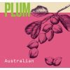 Шампунь Aussie Aussome Volume 300 мл (5410076390717) зображення 6