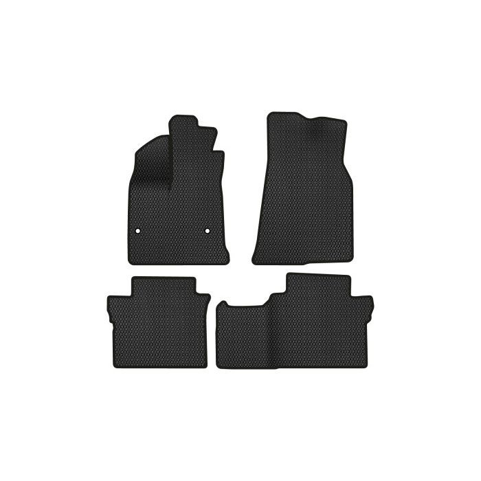 Килимок в салон EVAtech BYD E2 2019+ Htb China (BD42870PR4AV2RBB)