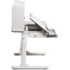 Парта FunDesk (1+1+1) (FIORE II GREY) зображення 13