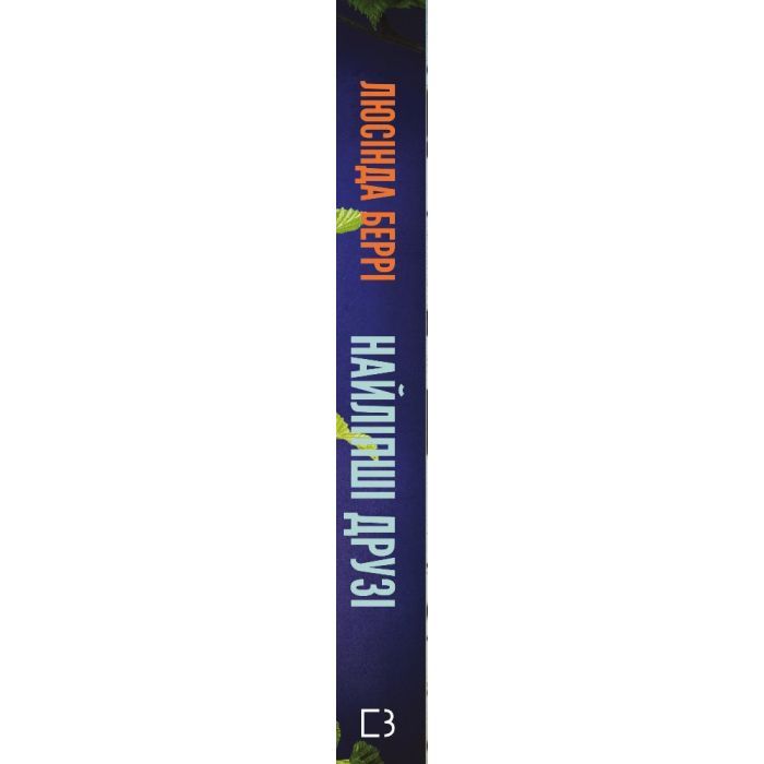 Книга Найліпші друзі - Люсінда Беррі BookChef (9786175482230) зображення 2