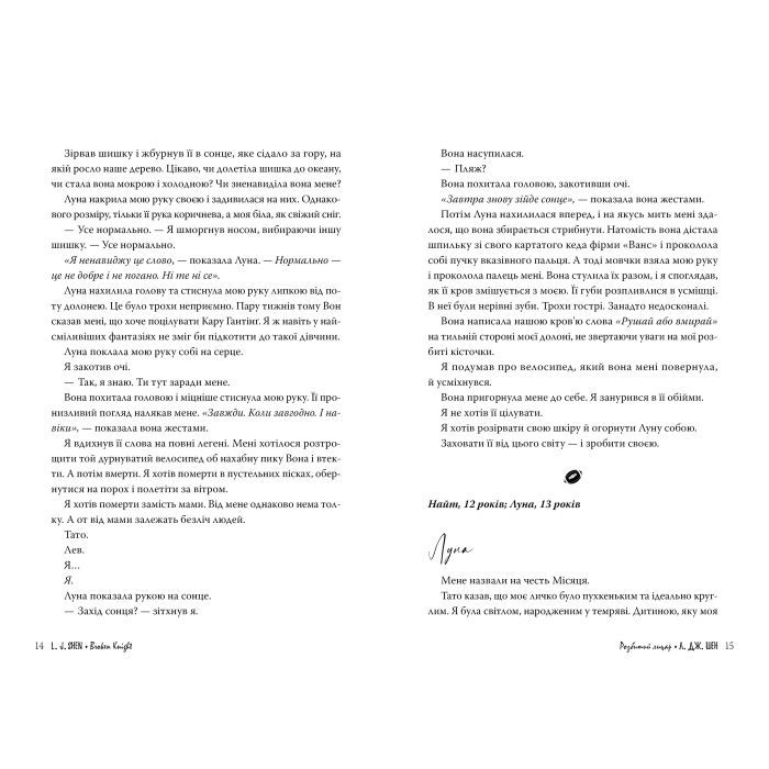 Книга Розбитий лицар - Л. Дж. Шен Видавництво РМ (9786178373283) зображення 3