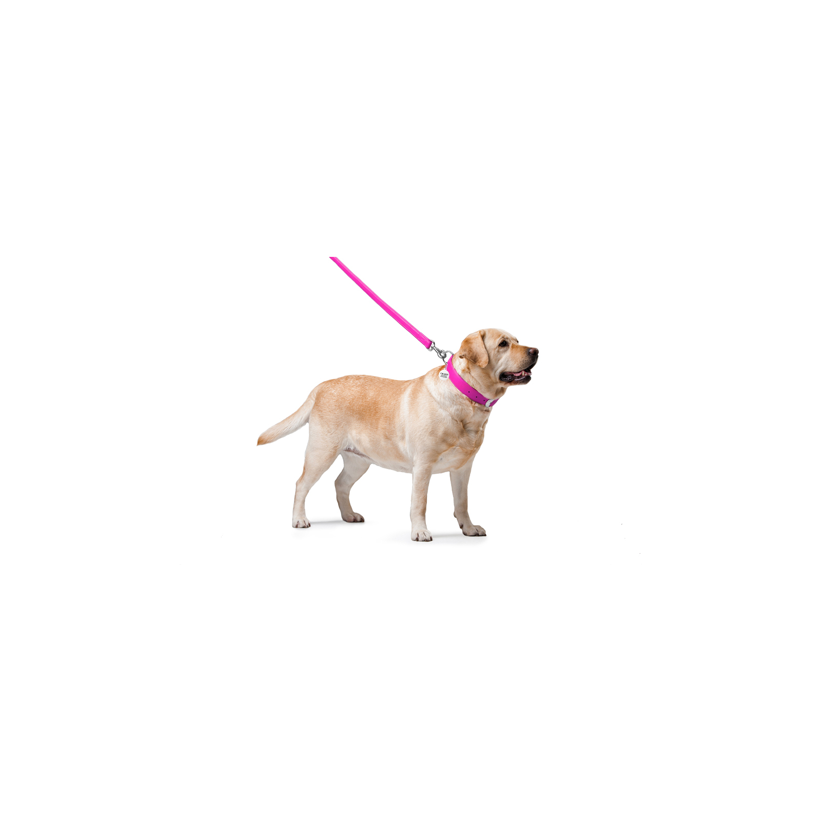 Повідок для собак WAUDOG Glamour шкіряний M-XXL рожевий (33767) зображення 3