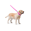 Повідок для собак WAUDOG Glamour шкіряний M-XXL рожевий (33767) зображення 3