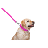 Повідок для собак WAUDOG Glamour шкіряний M-XXL рожевий (33767) зображення 4