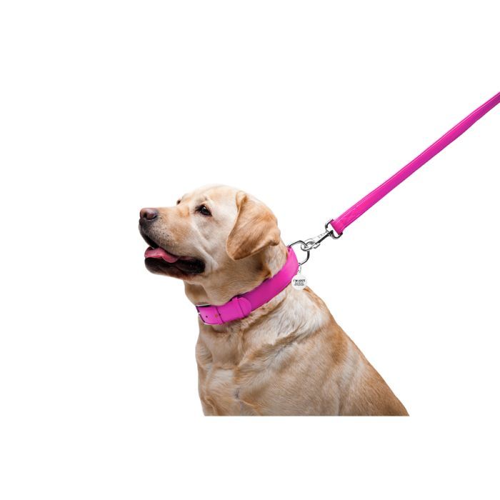 Повідець для собак WAUDOG Glamour шкіряний M-XXL червоний (33763) зображення 5