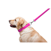 Повідок для собак WAUDOG Glamour шкіряний M-XXL рожевий (33767) зображення 6