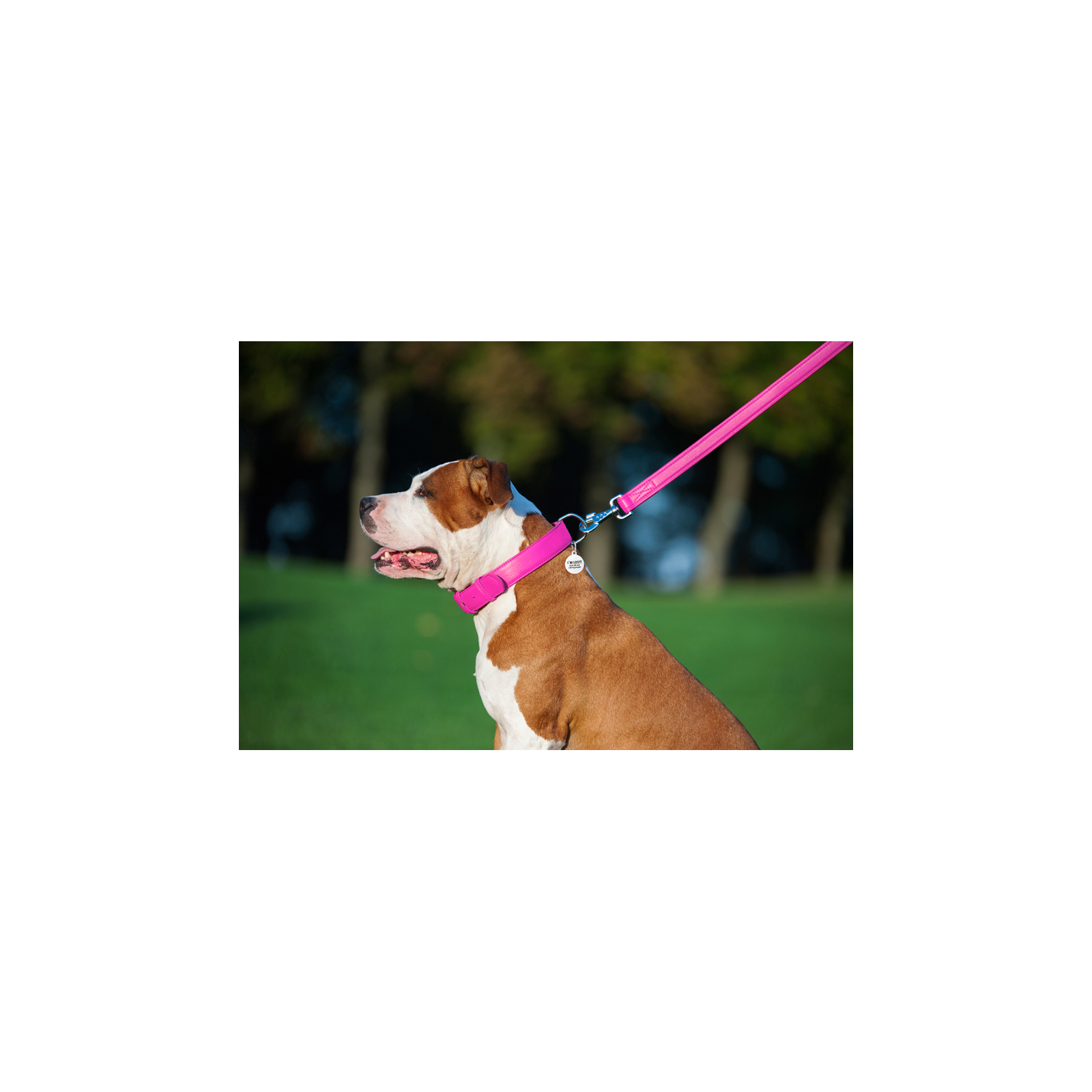 Повідок для собак WAUDOG Glamour шкіряний M-XXL рожевий (33767) зображення 7