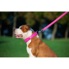 Повідок для собак WAUDOG Glamour шкіряний M-XXL рожевий (33767) зображення 7