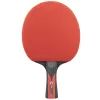 Комплект для настільного тенісу Joola Duo Carbon 2 Bats 3 Balls (54822) (930808) зображення 3