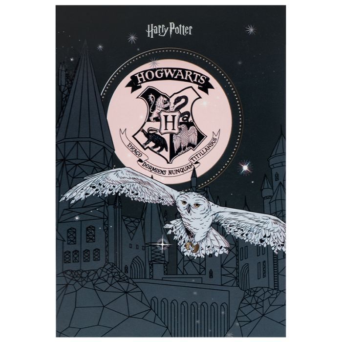 Блокнот Kite Harry Potter A5, 50 листов, клетка (HP25-194-1)