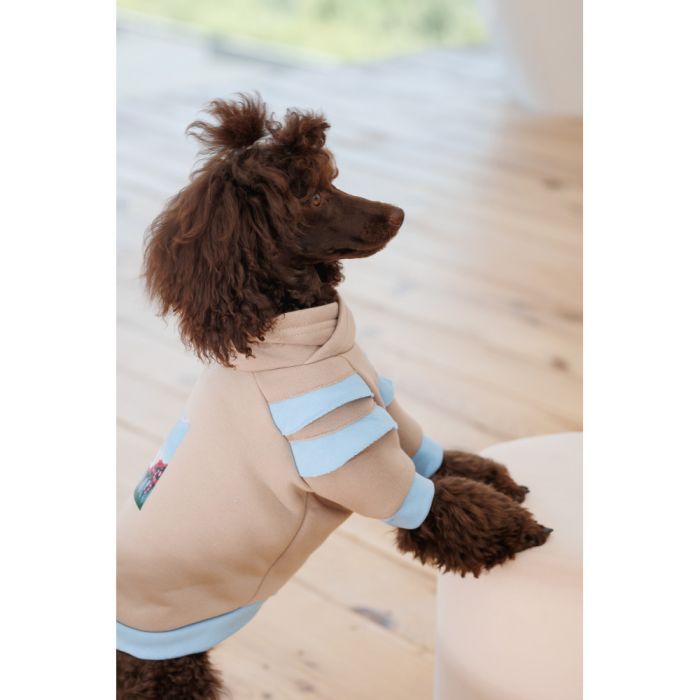 Свитер для животных Pet Fashion Home М (4823082434992) изображение 6