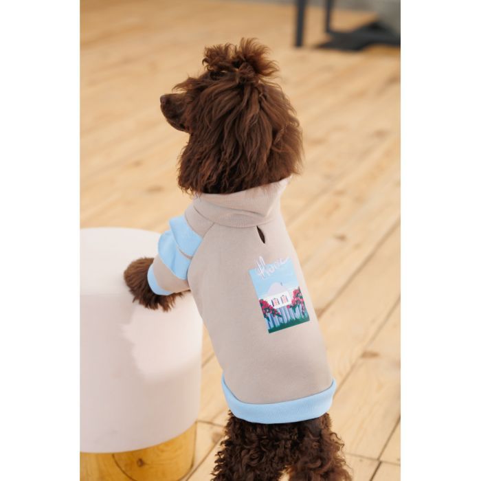 Свитер для животных Pet Fashion Home М (4823082434992) изображение 7