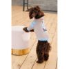 Свитер для животных Pet Fashion Home М (4823082434992) изображение 8