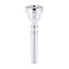 Мундштук для труби Yamaha Standart Series Trumpet (TR-14C4)