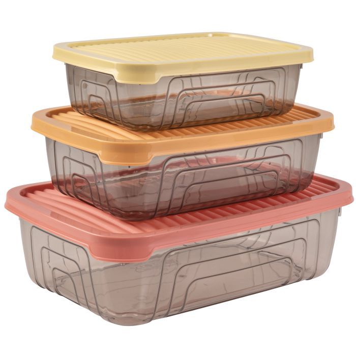 Пищевой контейнер Herevin Rectangular Storage Bowl Set-2024 Colours Набір 3 шт (163330-150)
