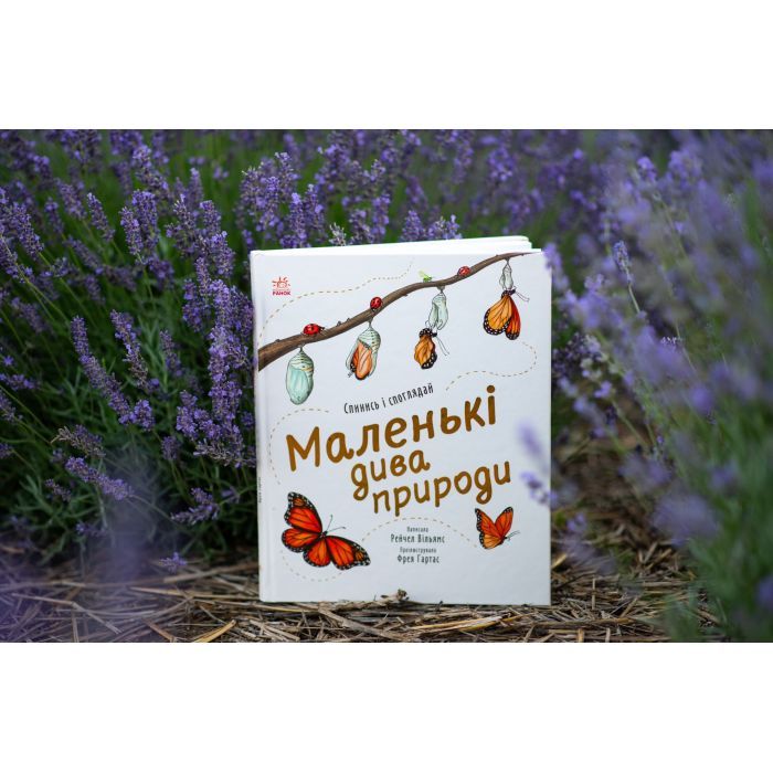 Книга Маленькі дива природи - Рейчел Вільямс Ранок (9786170985606) изображение 10