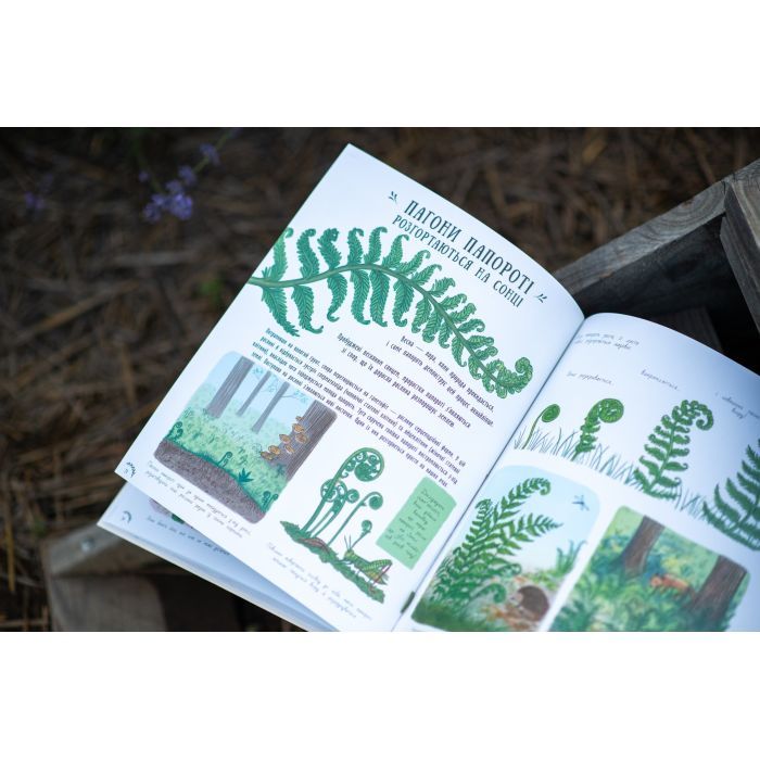 Книга Маленькі дива природи - Рейчел Вільямс Ранок (9786170985606) изображение 11