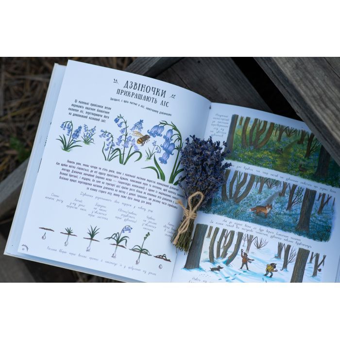 Книга Маленькі дива природи - Рейчел Вільямс Ранок (9786170985606) изображение 12