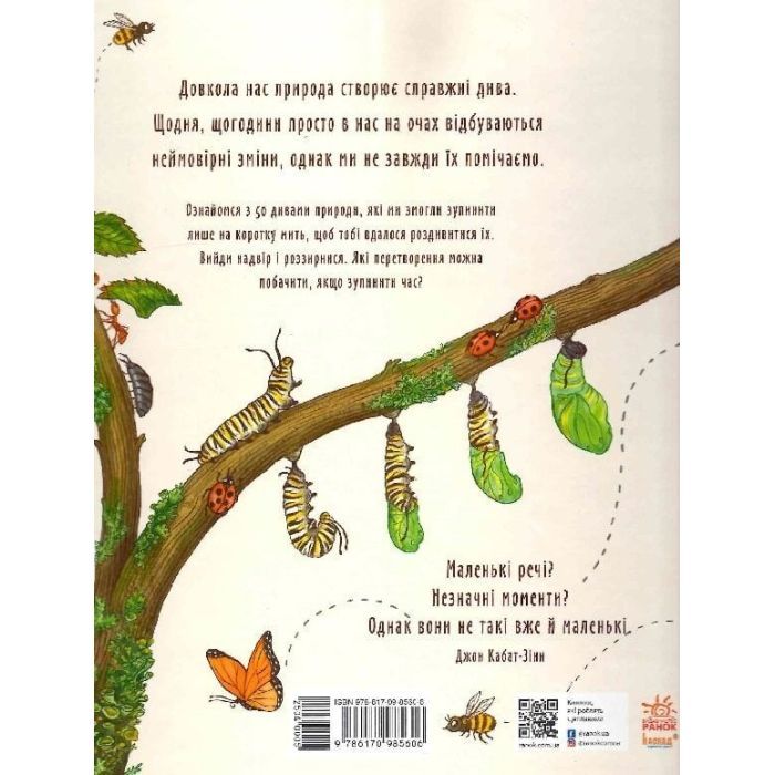 Книга Маленькі дива природи - Рейчел Вільямс Ранок (9786170985606) изображение 2