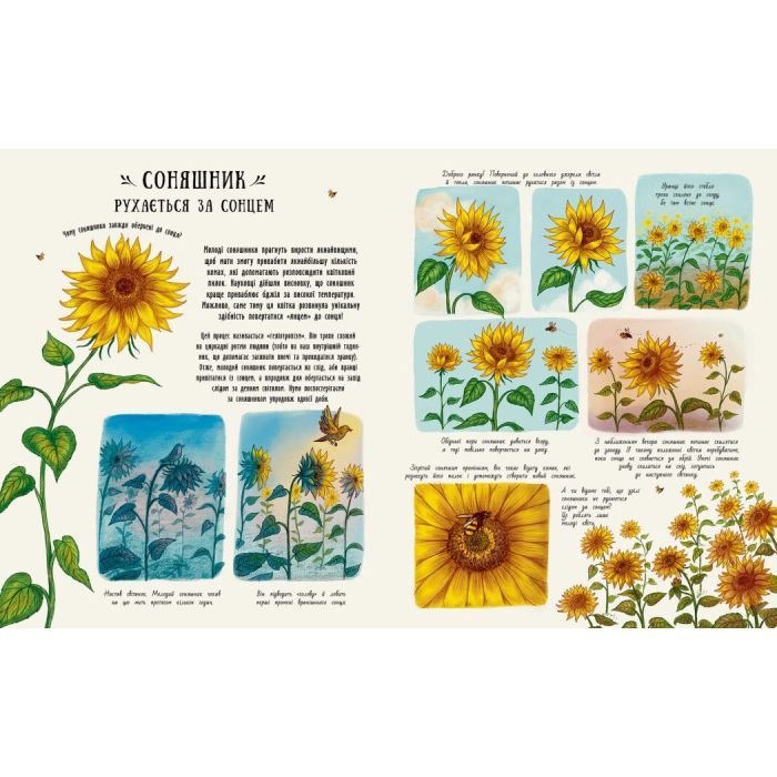 Книга Маленькі дива природи - Рейчел Вільямс Ранок (9786170985606) зображення 3