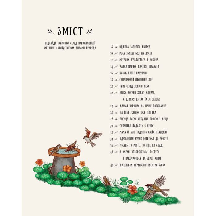 Книга Маленькі дива природи - Рейчел Вільямс Ранок (9786170985606) зображення 6
