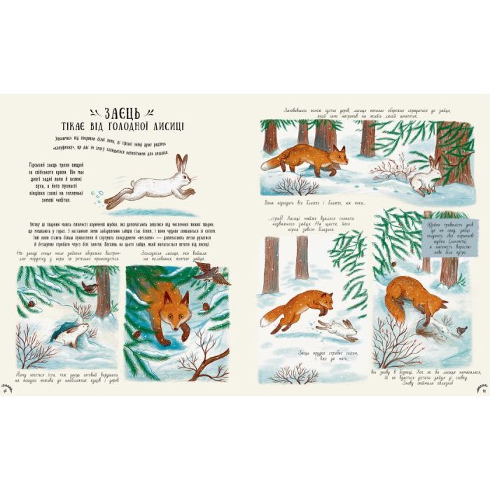 Книга Маленькі дива природи - Рейчел Вільямс Ранок (9786170985606) изображение 6